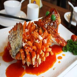 小廚娘淮揚菜加盟條件、費用及聯系方式詳解